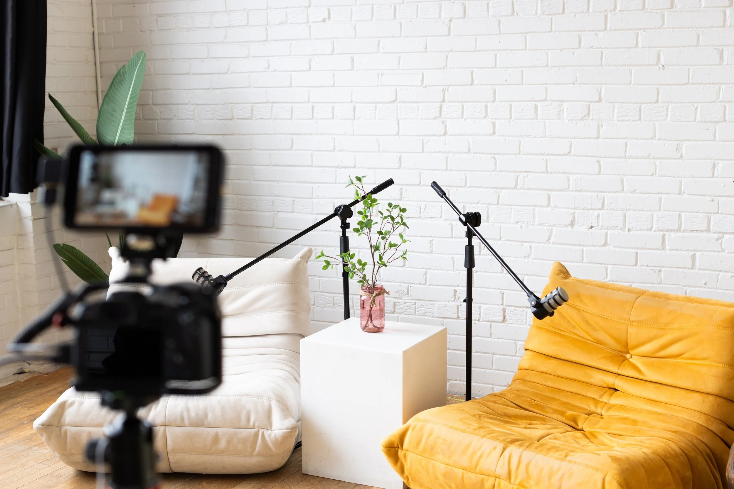 Living room setup with two sofas, one white and one mustard yellow, a small white side table with a pink vase holding a green plant, and two microphones on stands in front of the sofas, against a white brick wall. A large potted plant is visible near