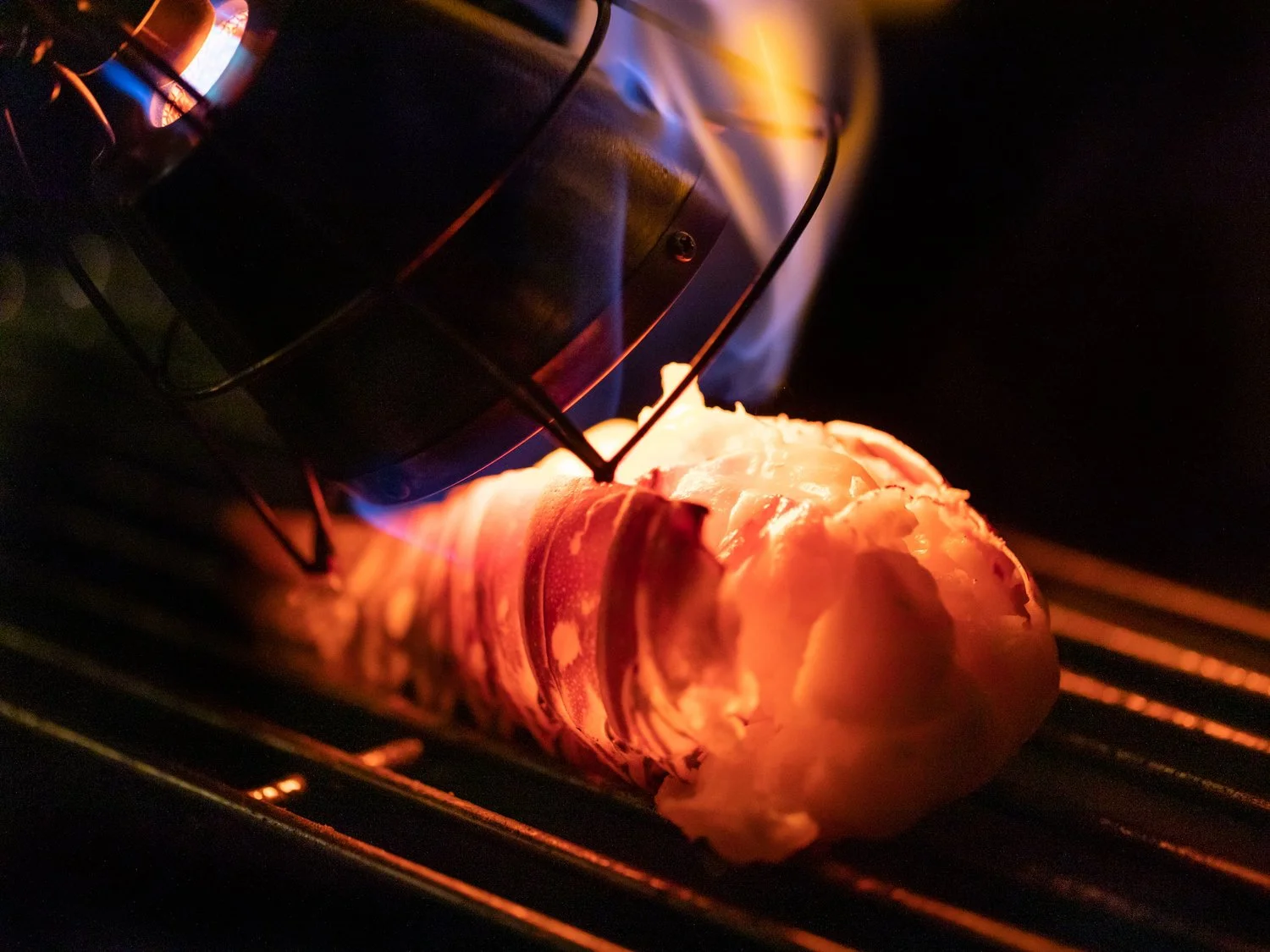 A turntable inside an oven with a large frozen object, possibly a meat or a vegetable, wrapped in plastic, on the oven rack.