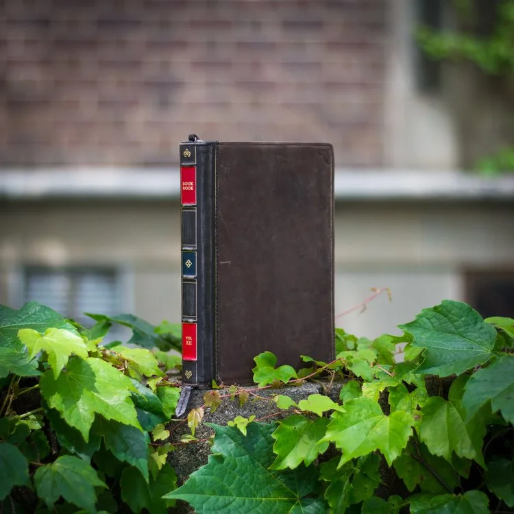 A vintage leather-bound book standing upright among green ivy leaves outdoors.